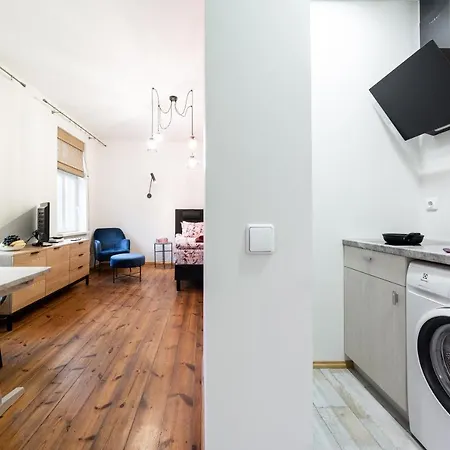 T9 Studio 250 M From Old Town Διαμέρισμα *